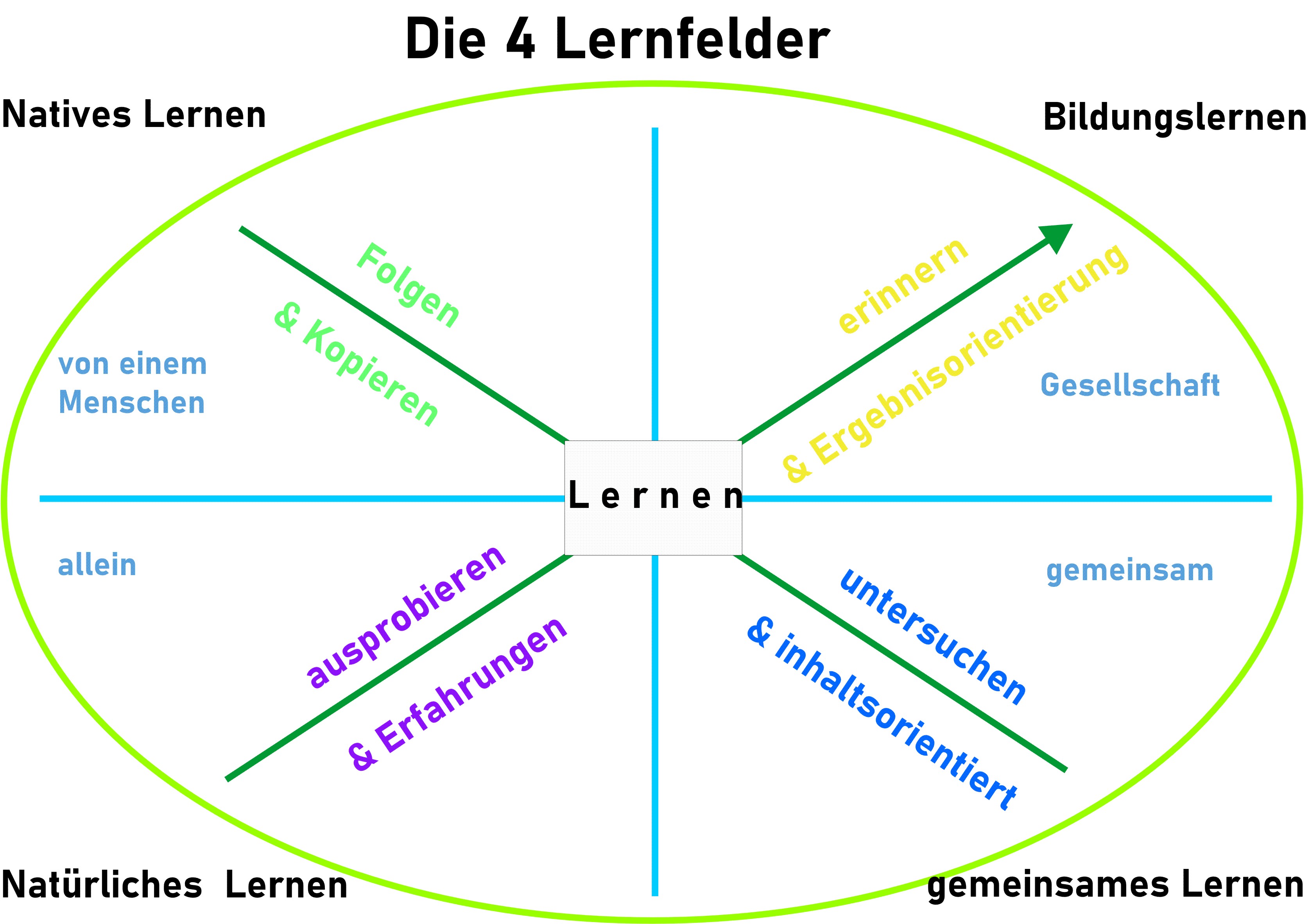 Grafik Die 4 Lernfelder aus dem Buch Wie wachsen wir nie von alleine